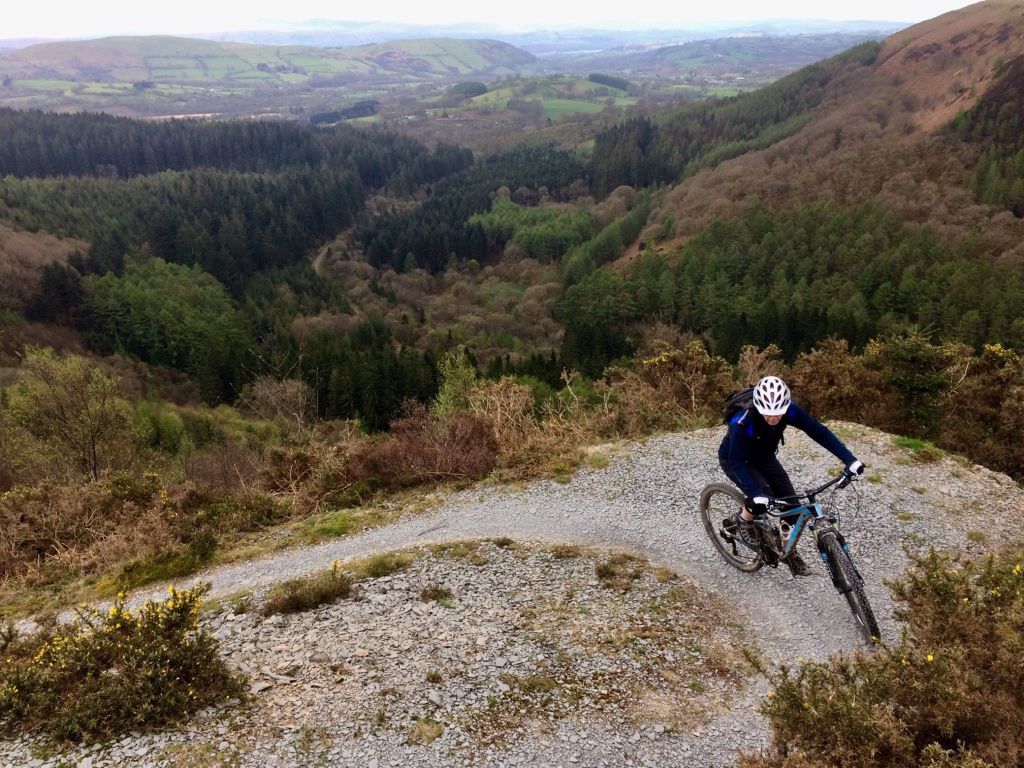 Brechfa Forest mountain&nbsp;biking
